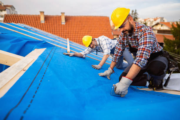 Best Roof Waterproofing Services  in White Sulphur Springs, WV