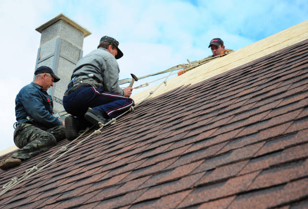 Best Affordable Roofing Company  in White Sulphur Springs, WV