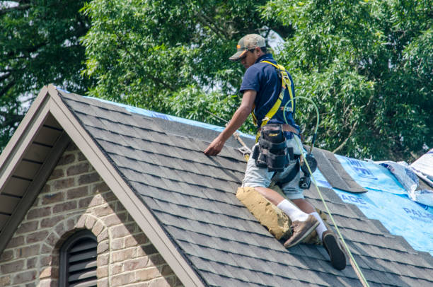 Best Roof Maintenance Services  in White Sulphur Springs, WV